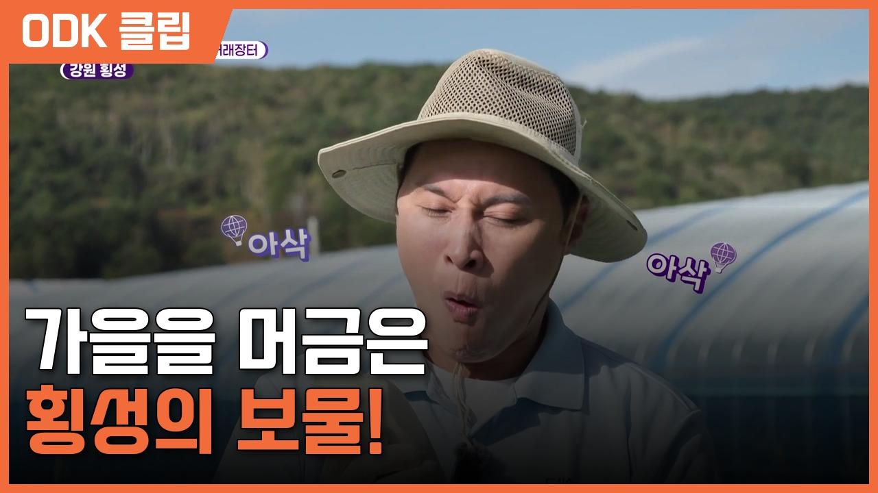 6시 내고향 | 8633회