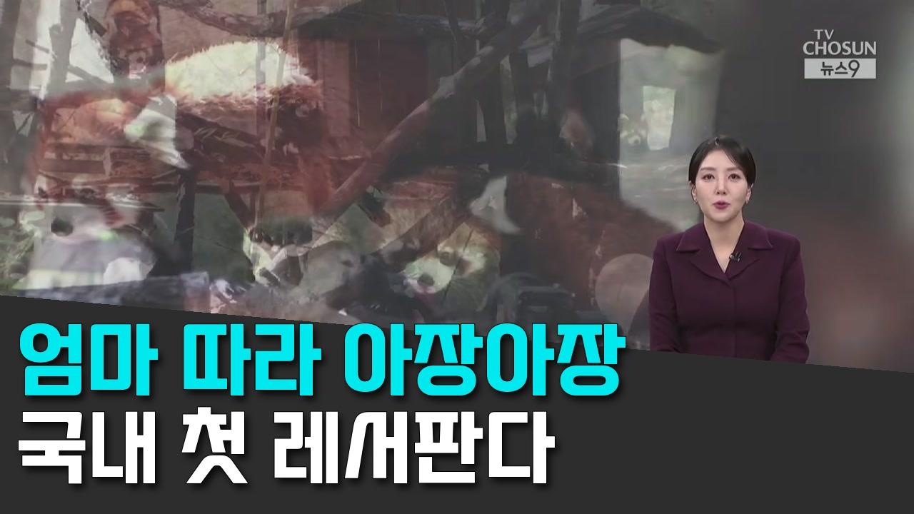 10/14 TV조선