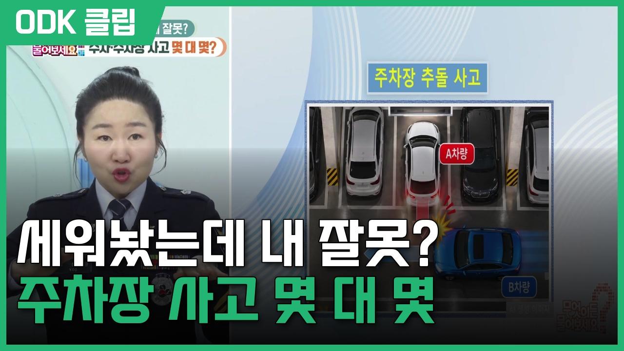 무엇이든 물어보세요 | 3429회