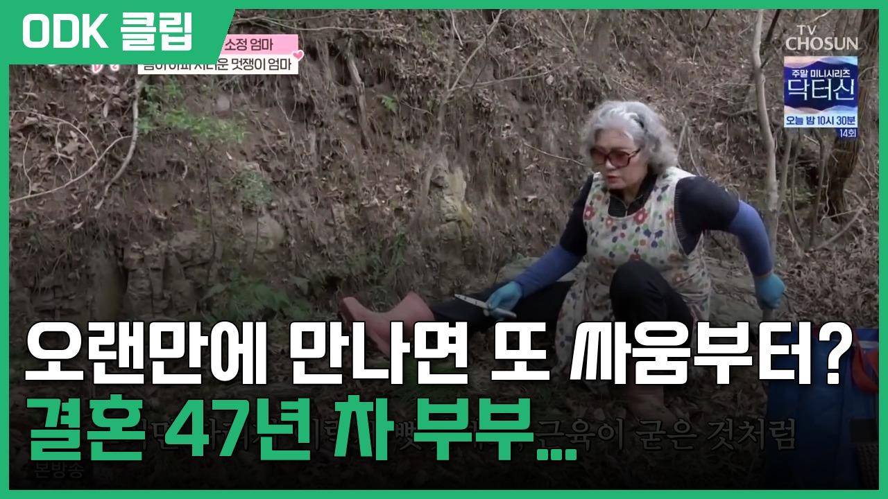 엄마의 봄날 | 554회