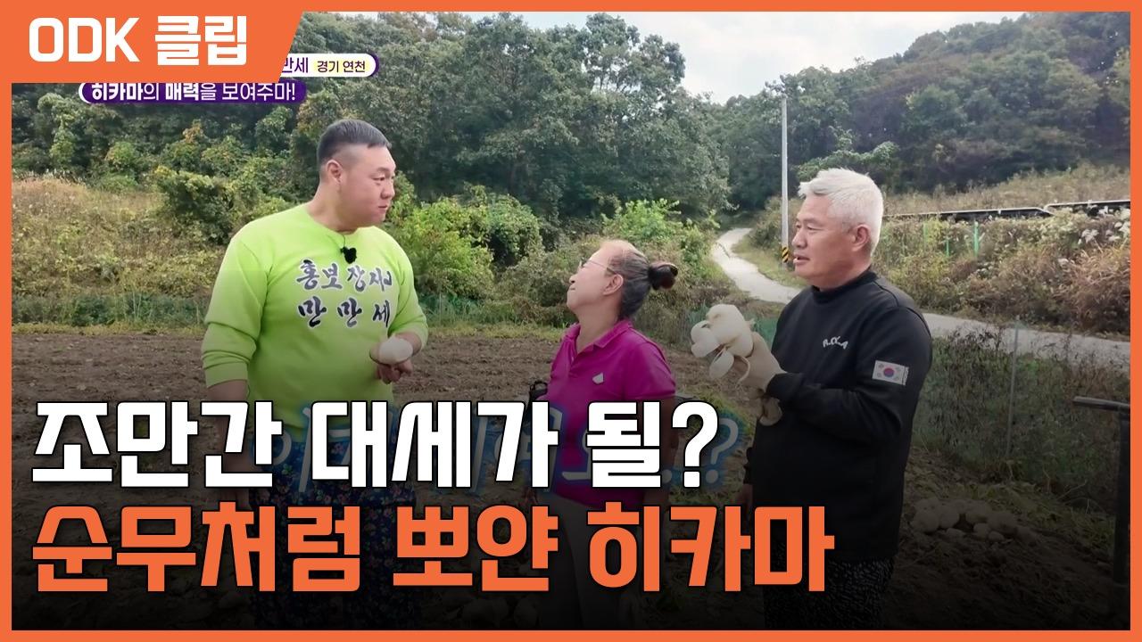 6시 내고향 | 8644회