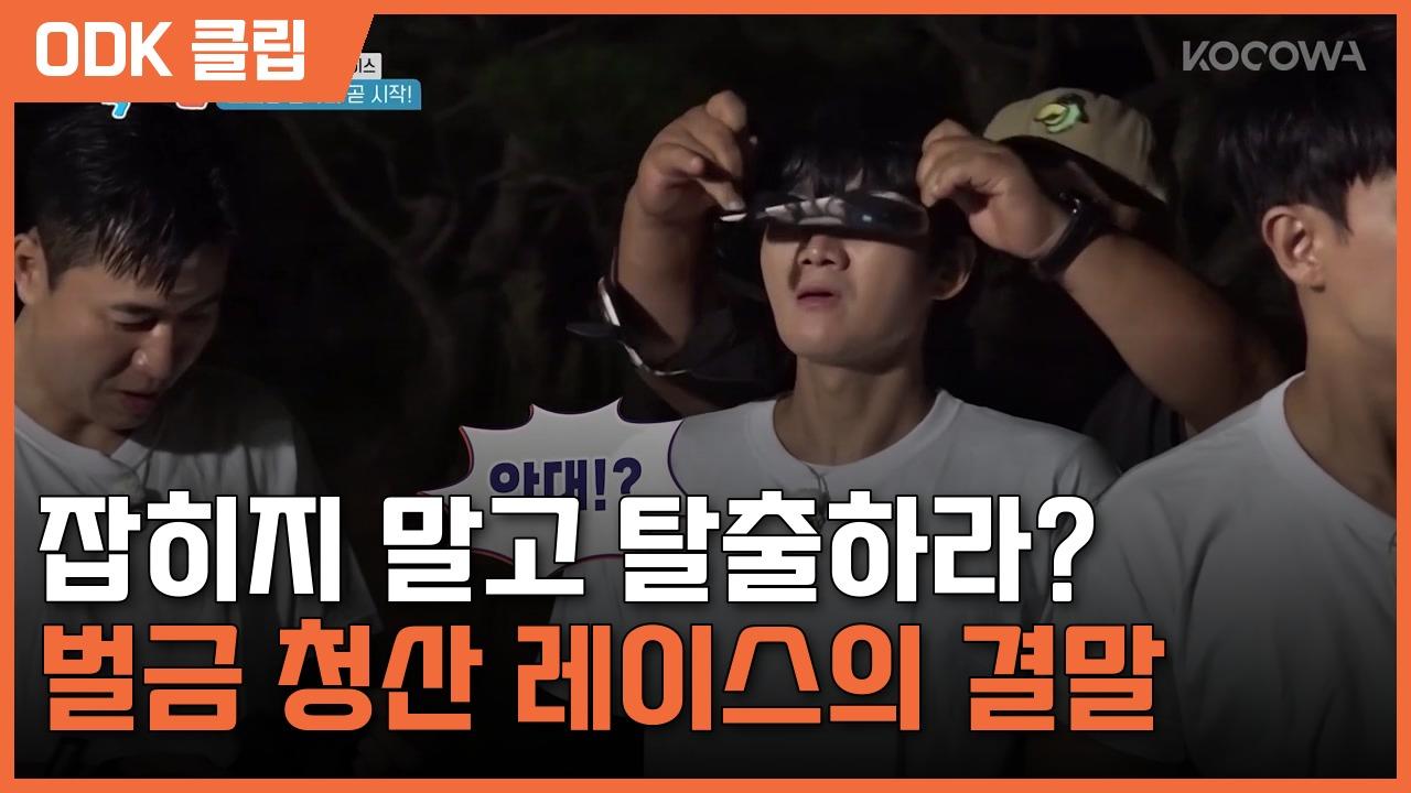 1박 2일 시즌4 | 347회