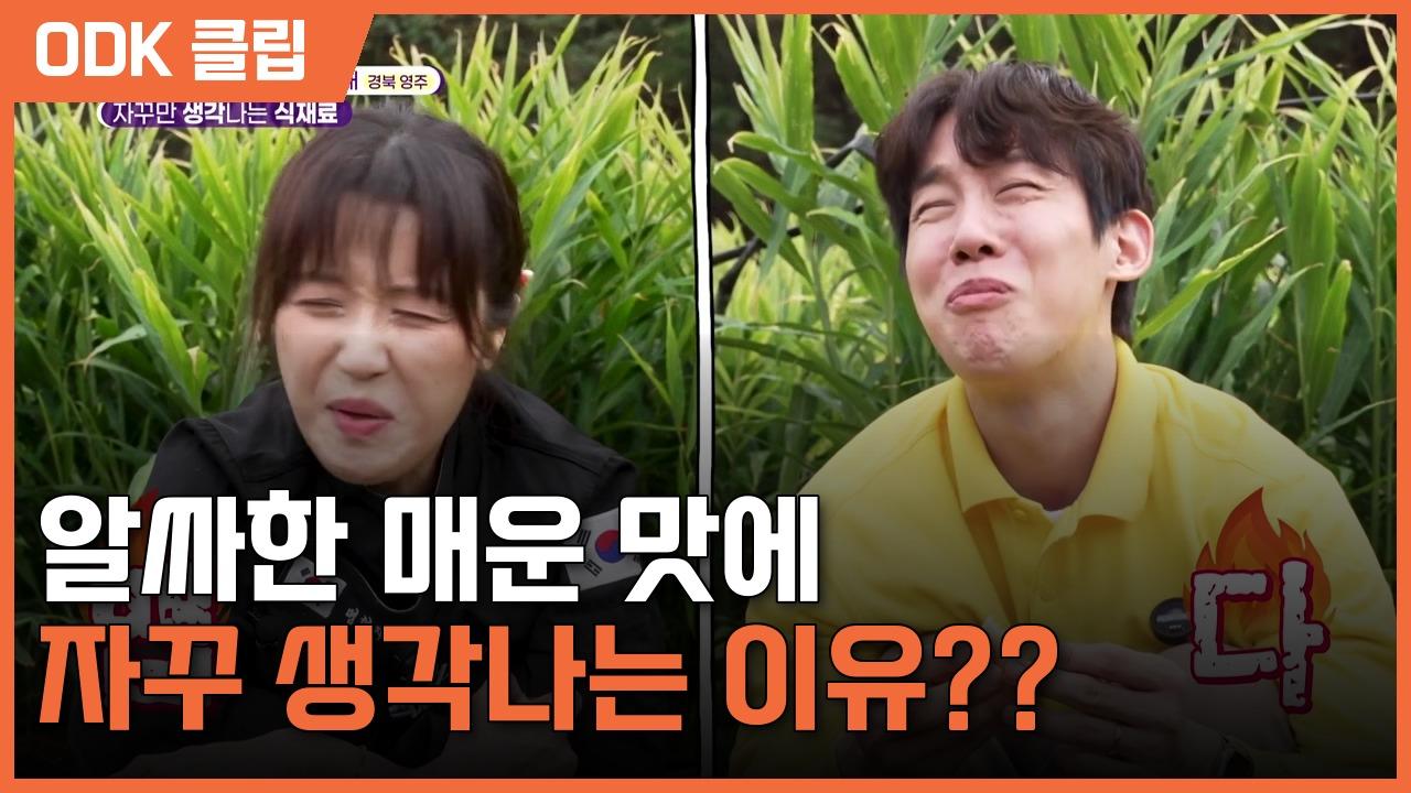 6시 내고향 | 8646회
