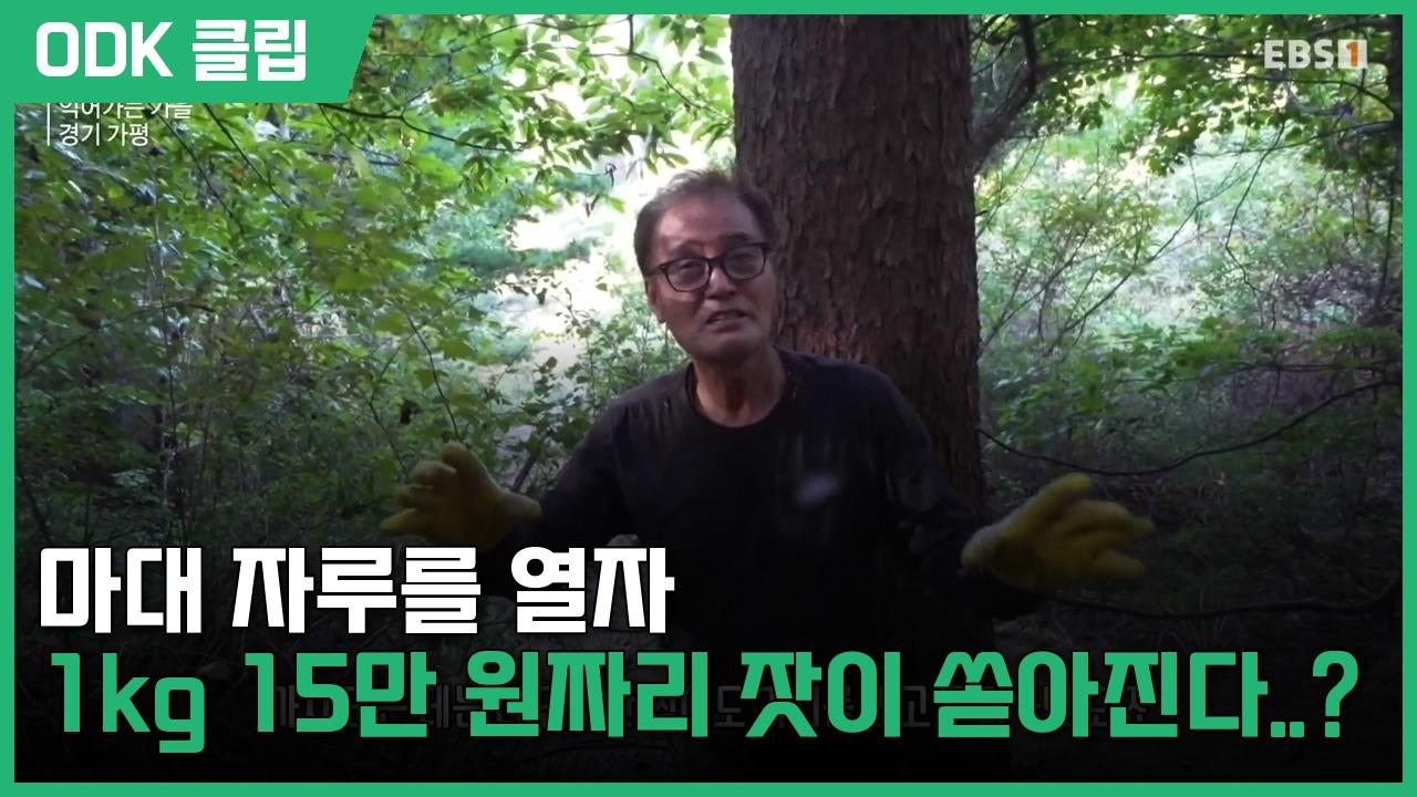 한국기행 | 5768회
