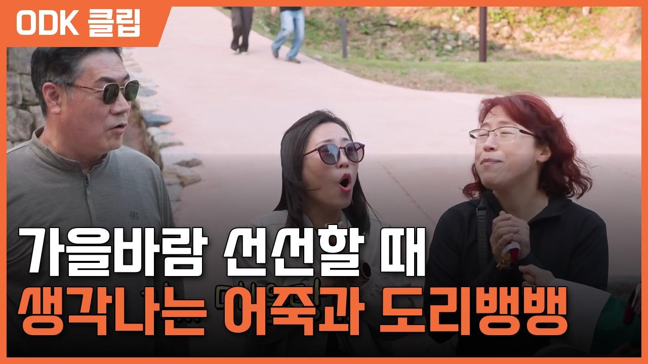 6시 내고향 | 8647회