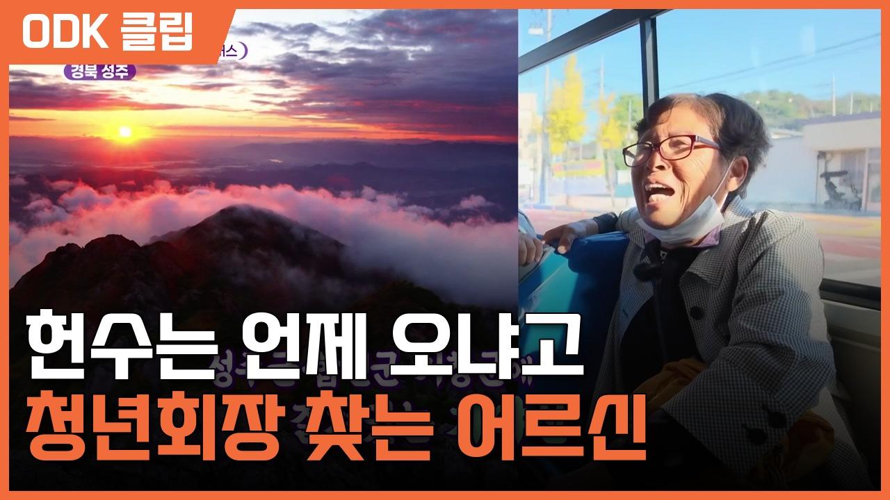 6시 내고향 | 8649회