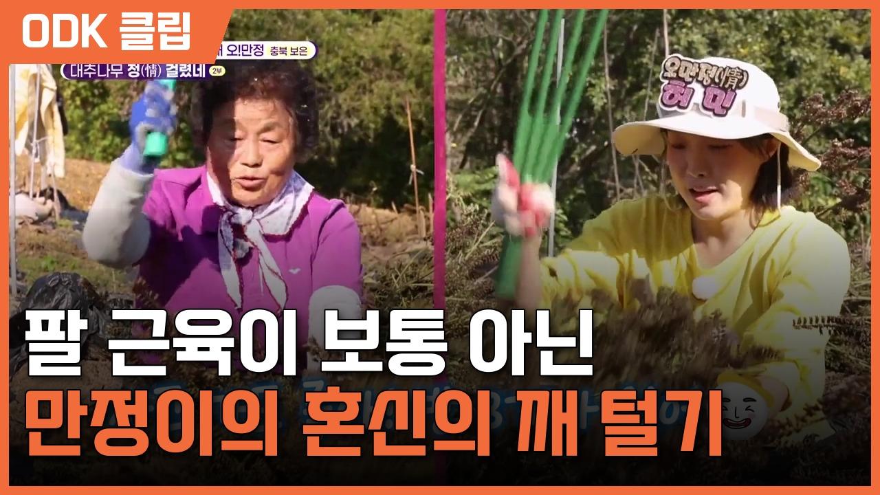 6시 내고향 | 8650회