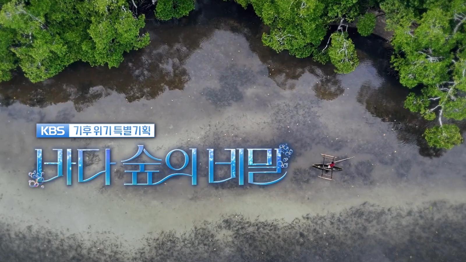 기후위기 특별기획 바다숲의 비밀