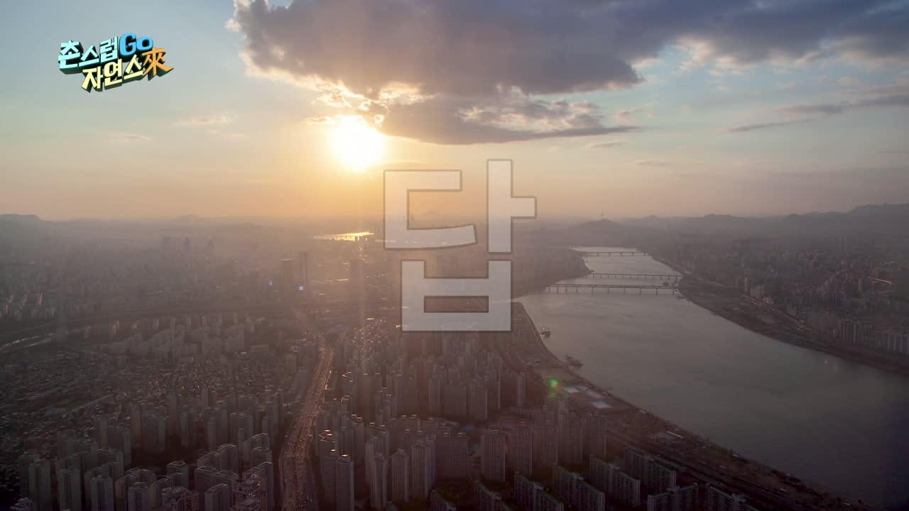 1회
