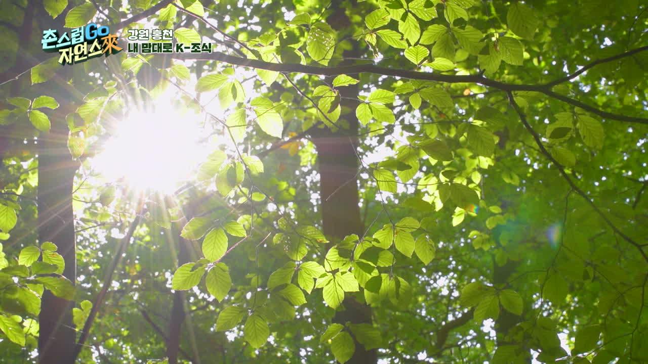3회