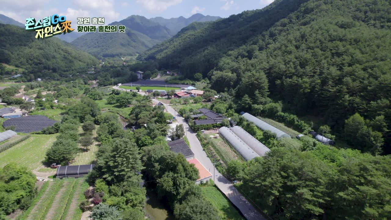 4회
