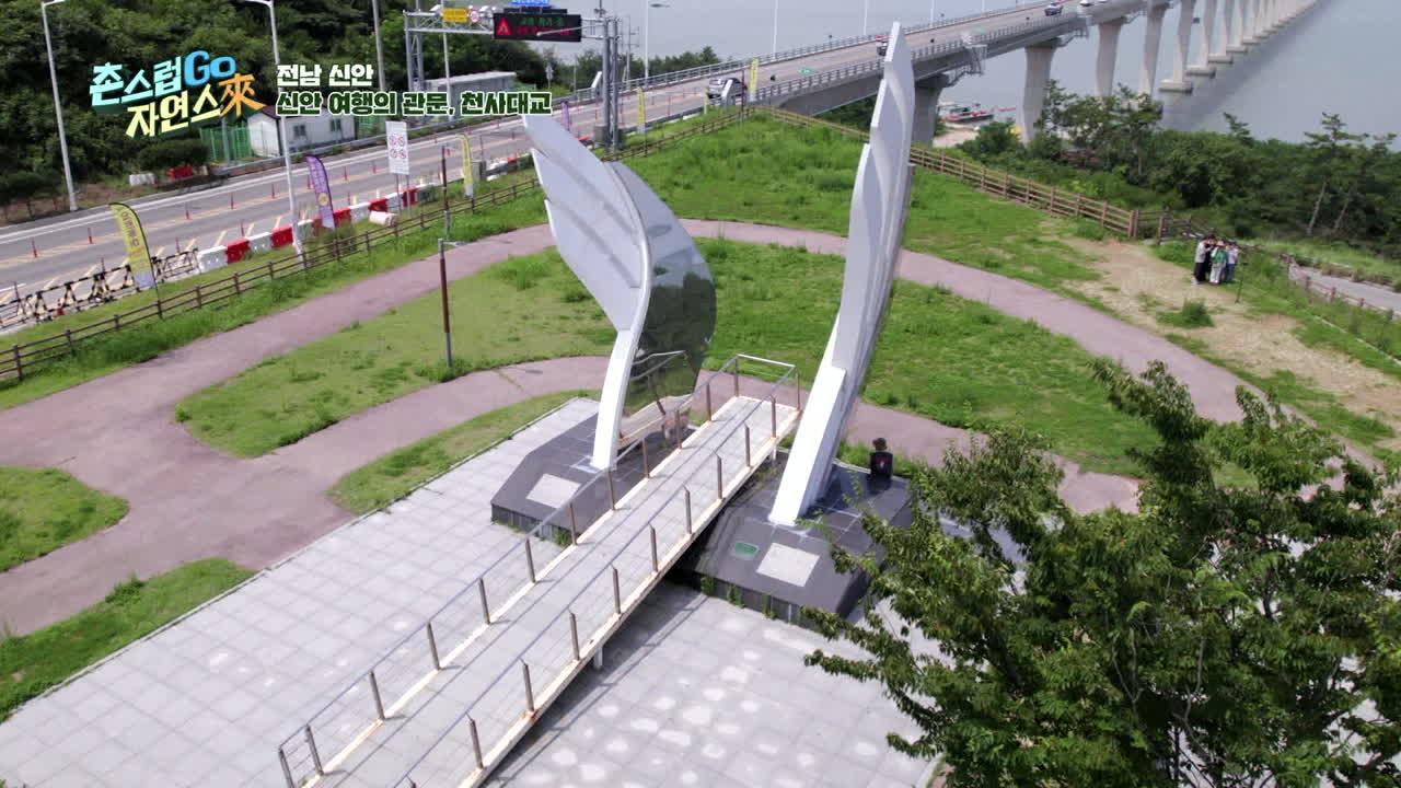 6회