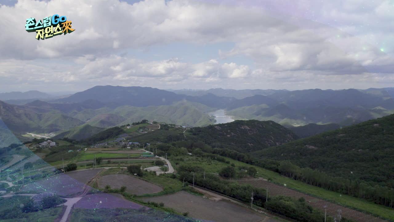 9회