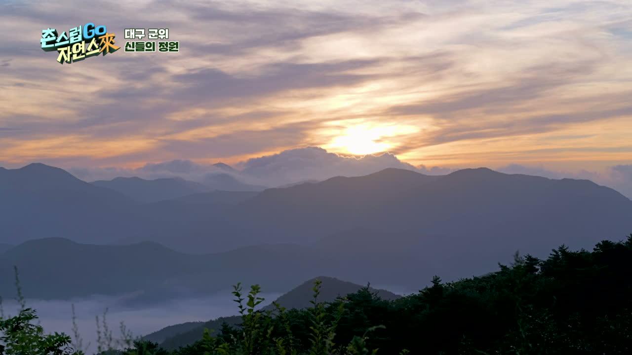10회