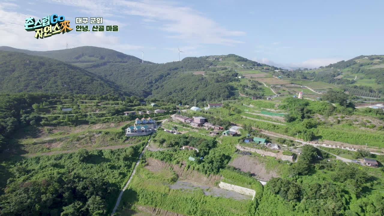 12회