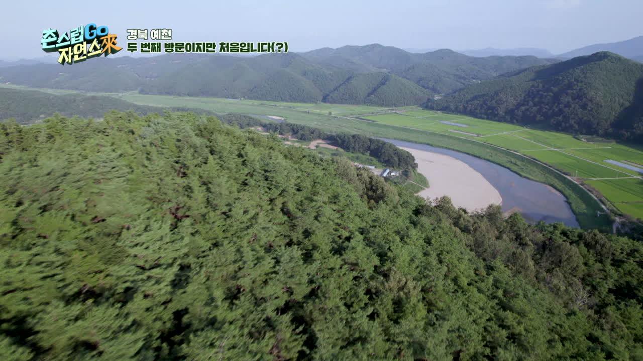 13회