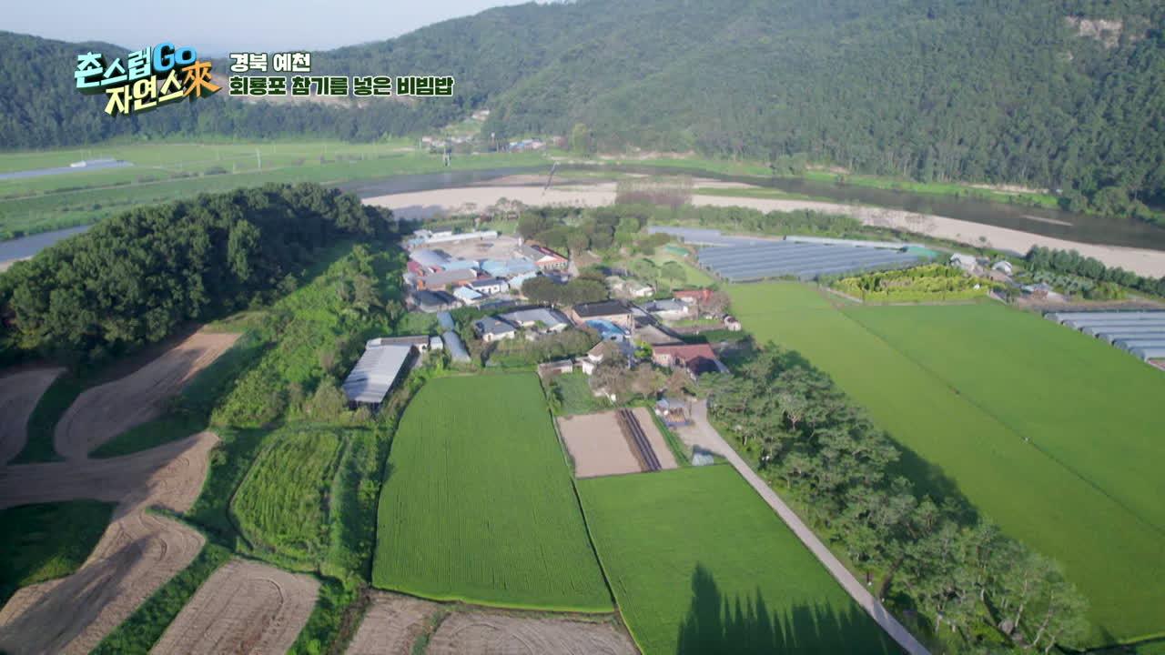 14회