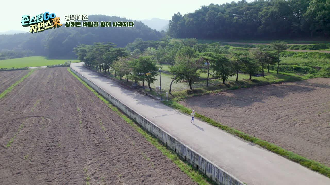 16회