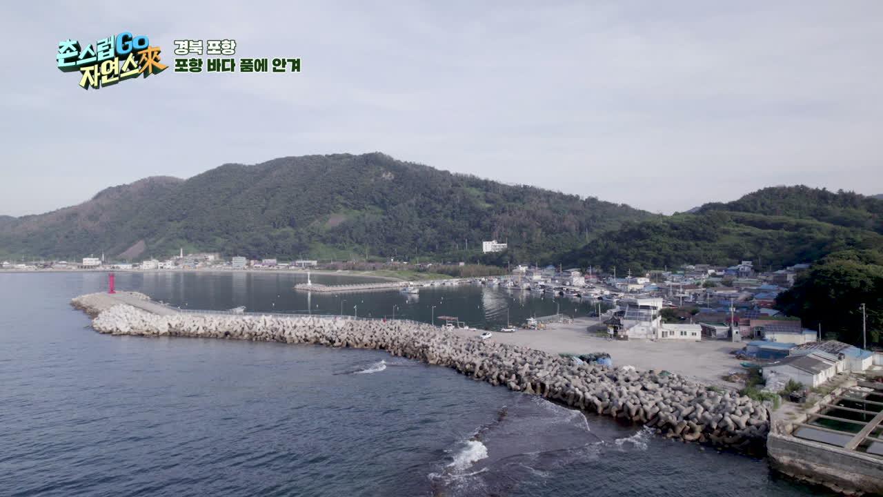 19회