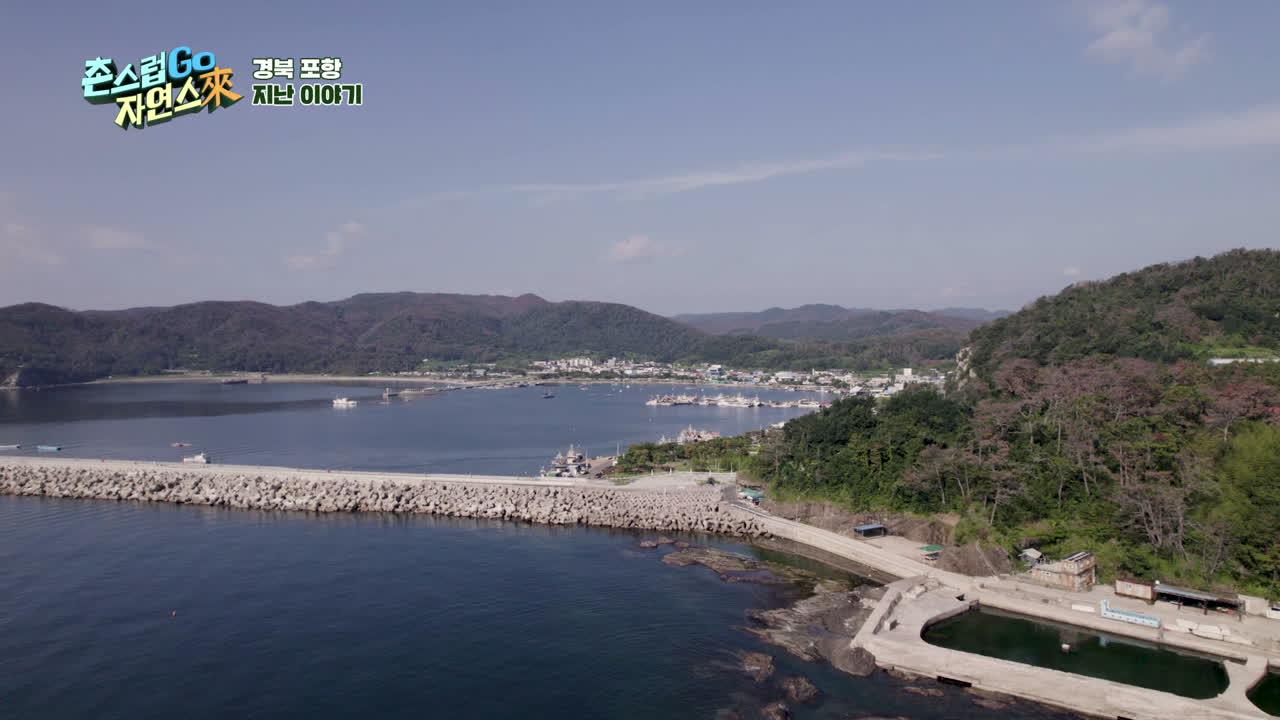 20회