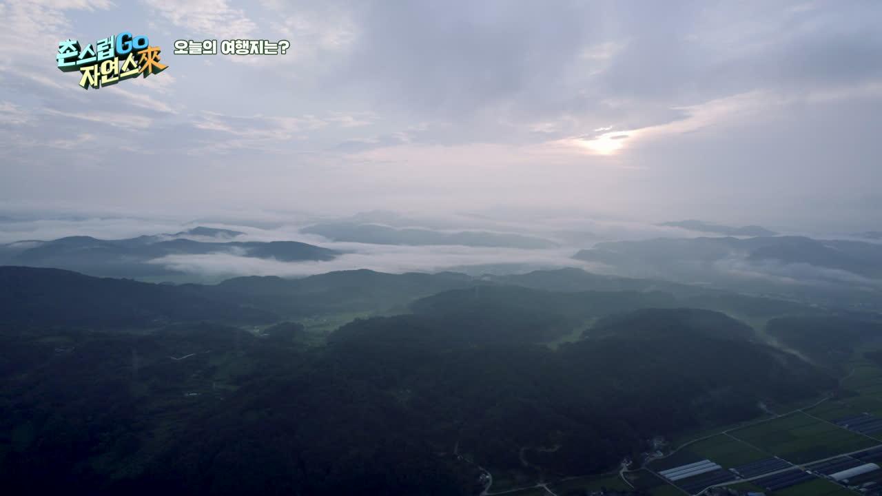 21회