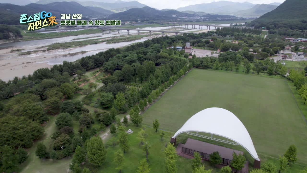 23회