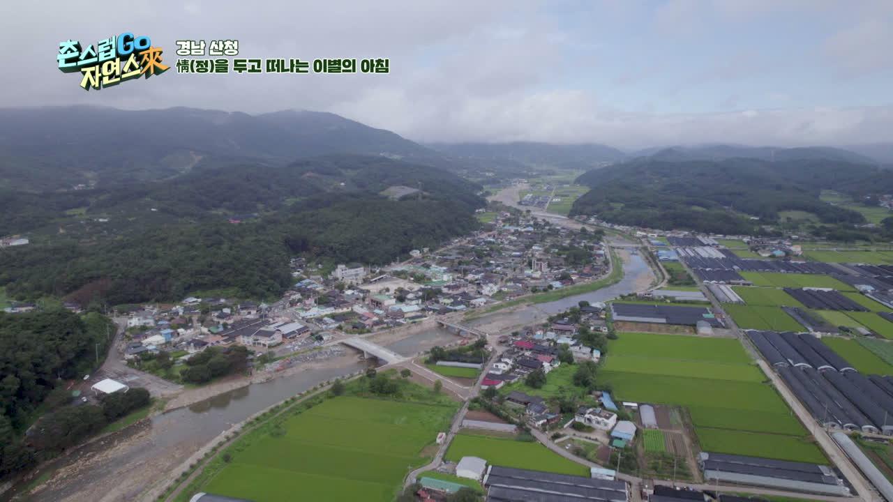 24회