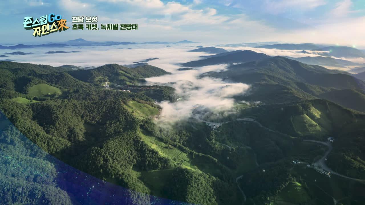 29회
