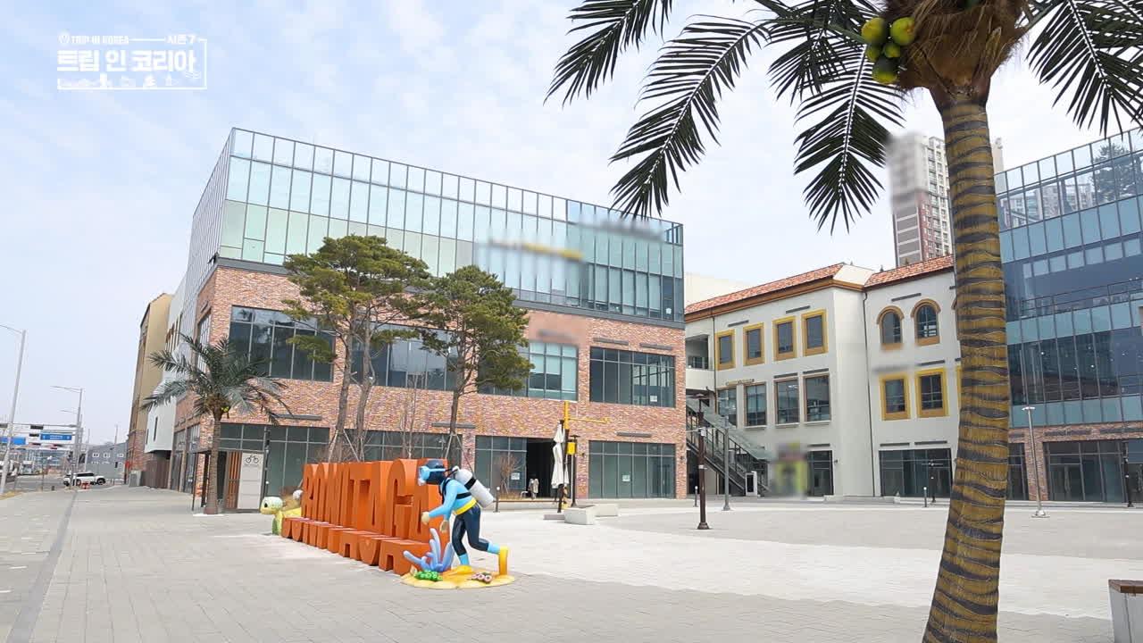 31회