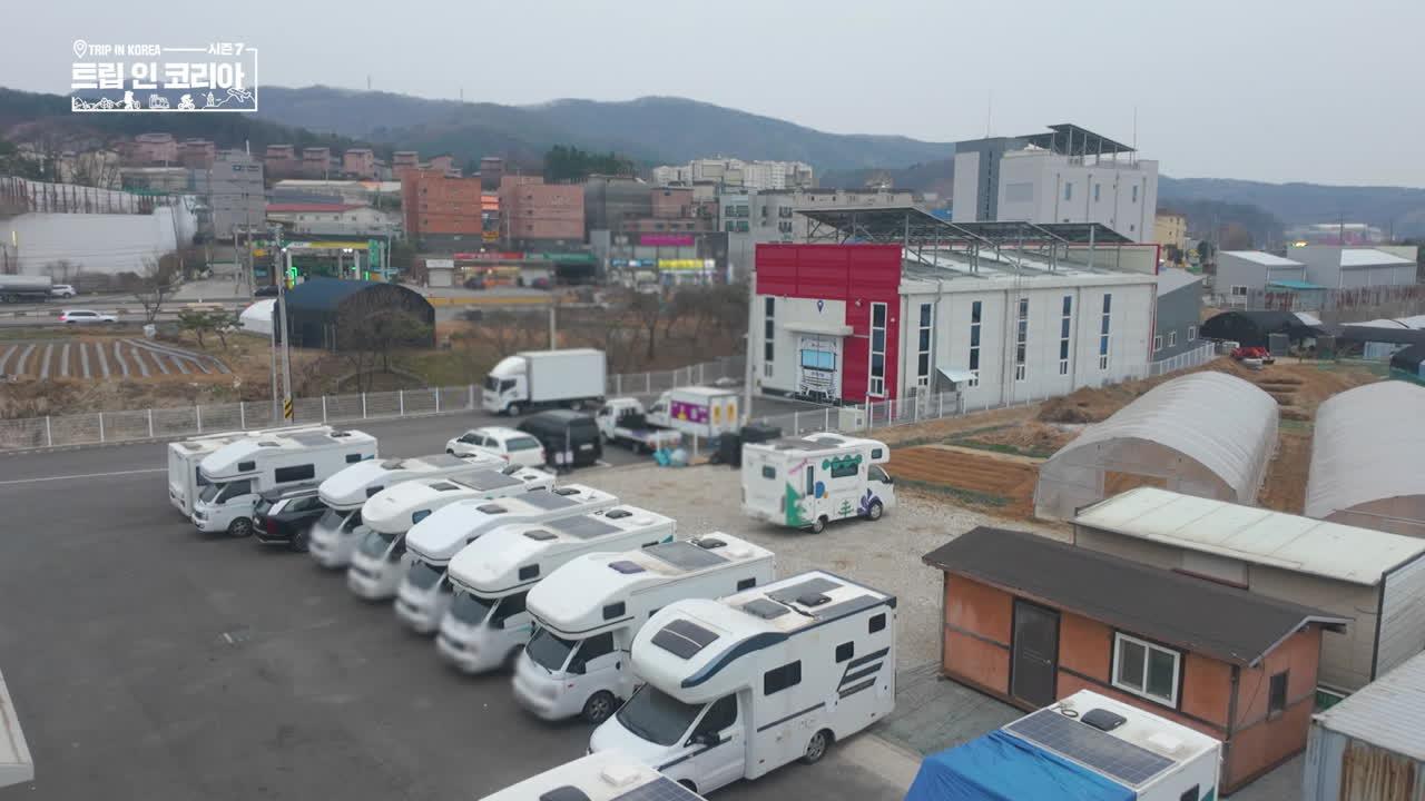 36회