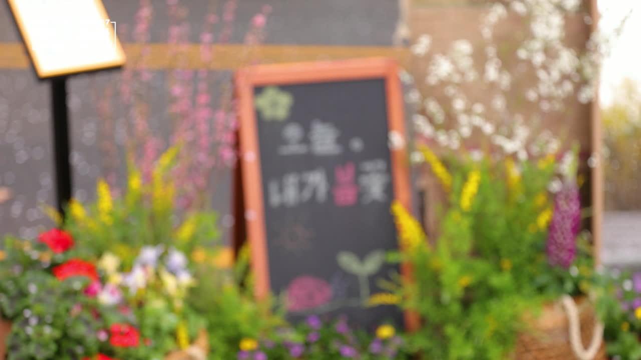 41회