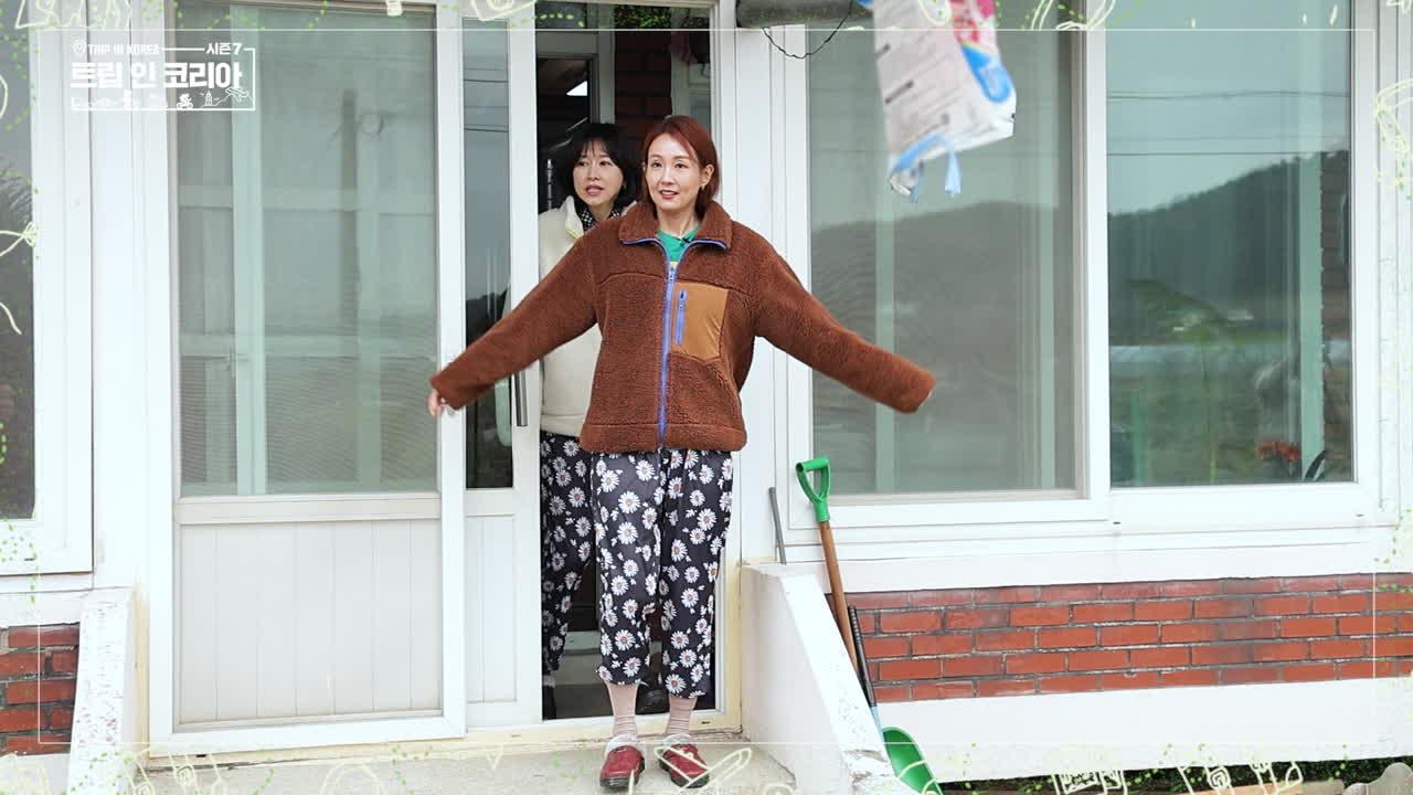 43회
