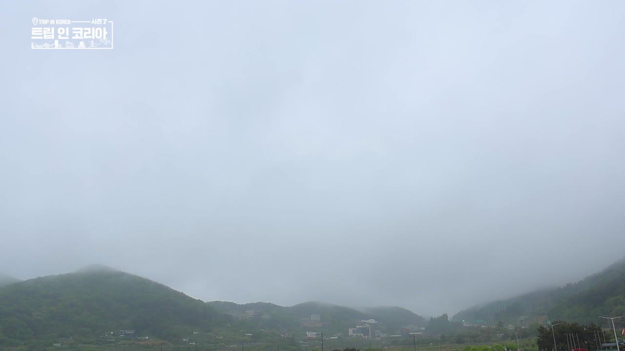 51회