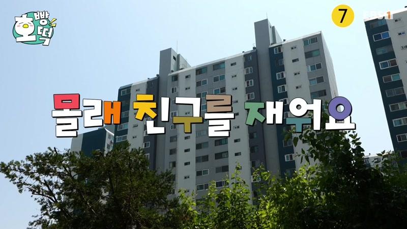 20260729회