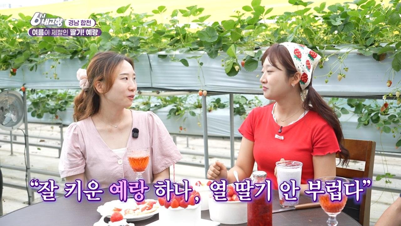 8595회