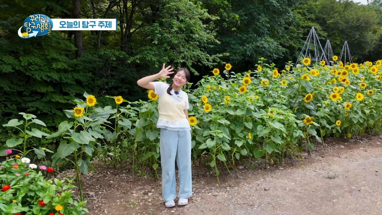 1492회