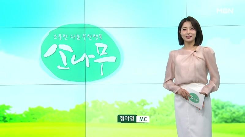 766회