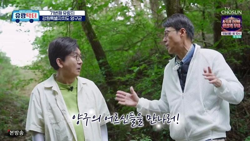 71회