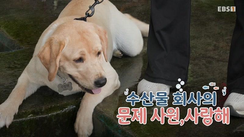474회