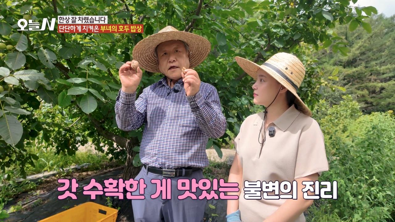오늘N 2776회