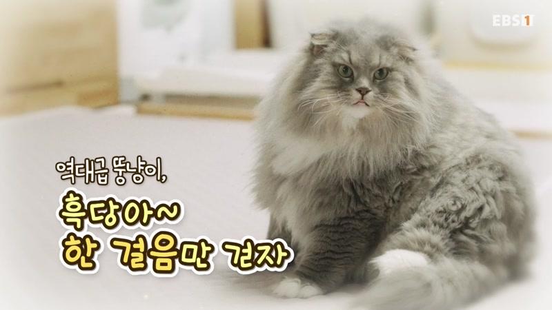 20260814회