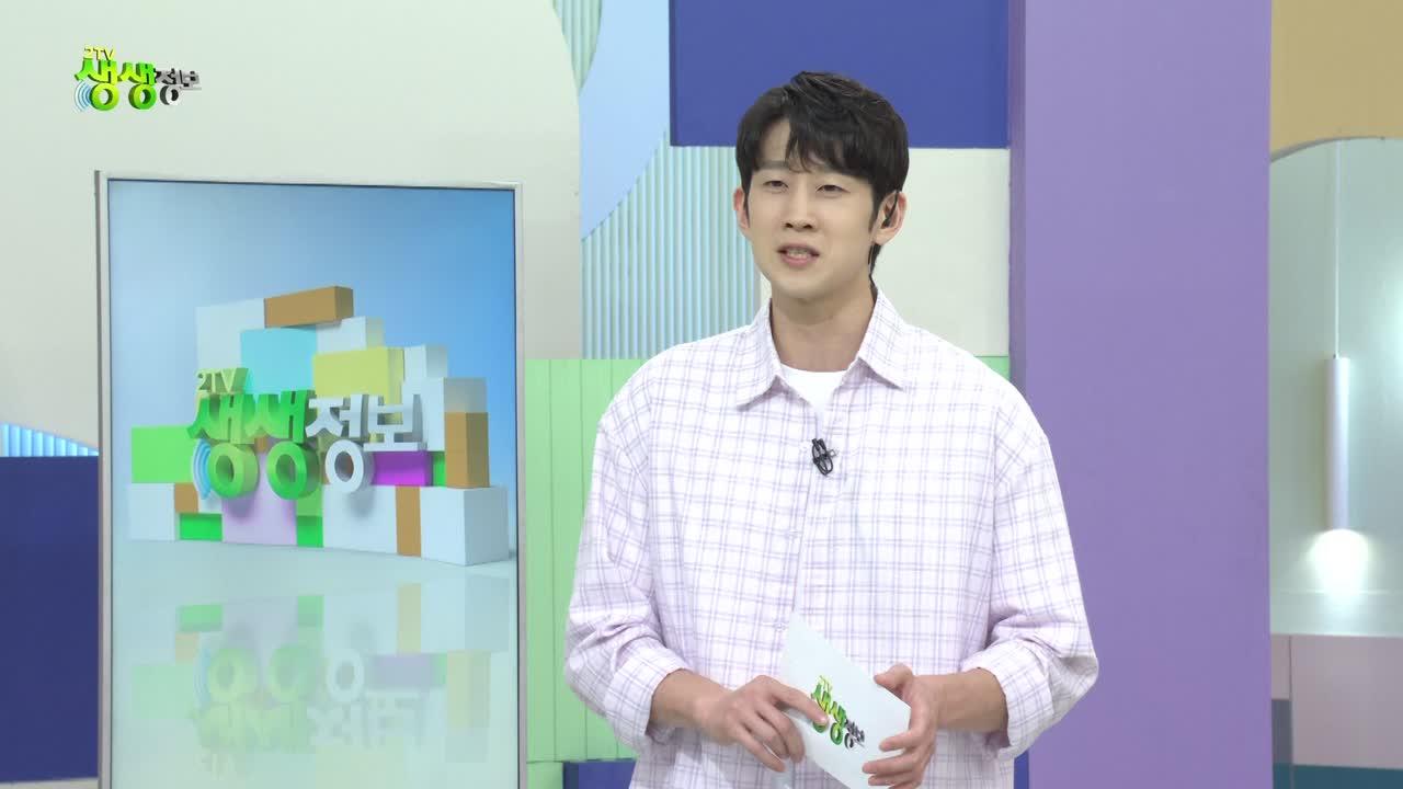 2594회
