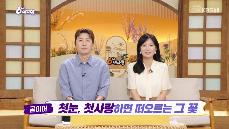 8604회