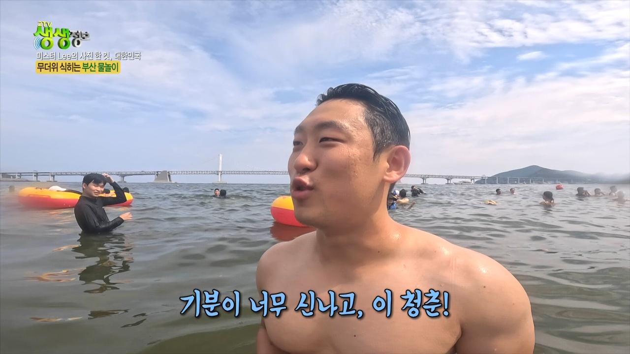 2595회