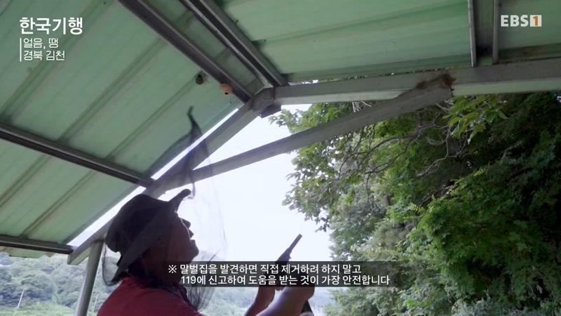 5726회