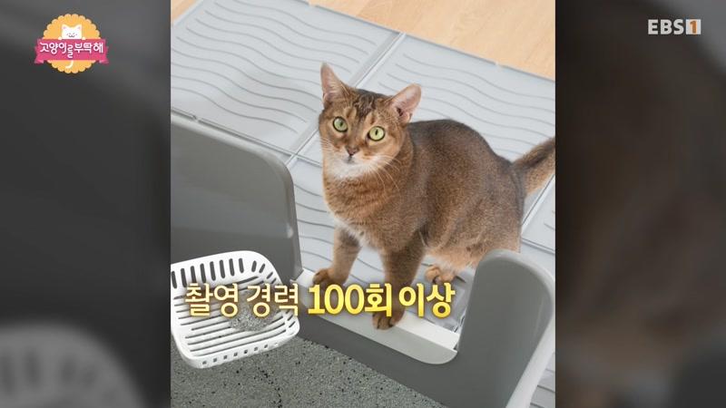 235회