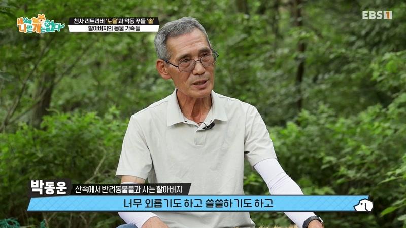 천사 리트리버 '노을'과 악동 푸들 '솔'