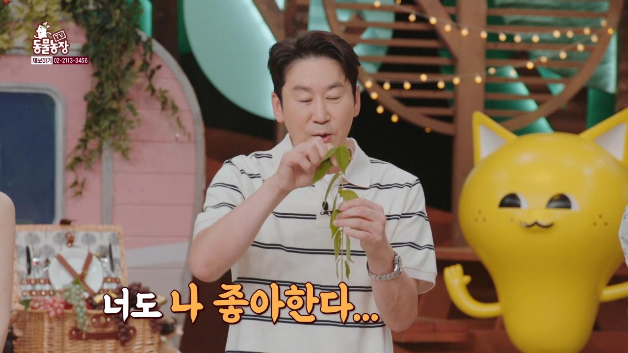 1286회