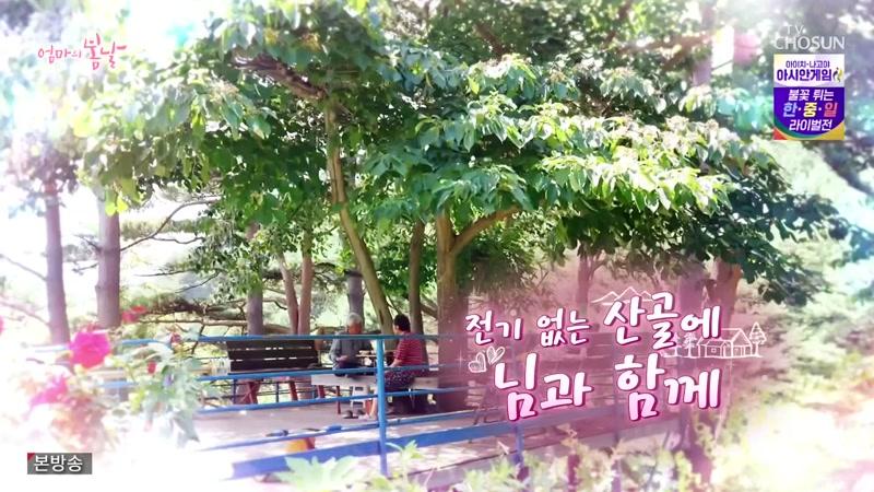 571회