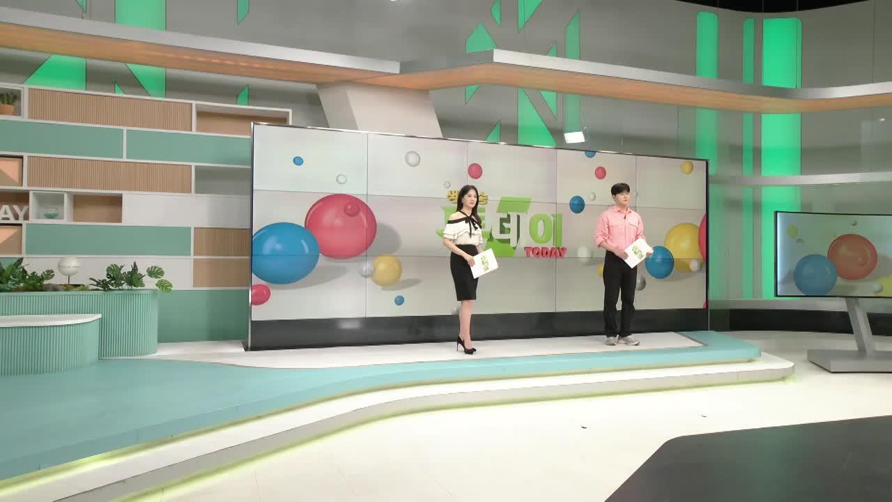 4081회